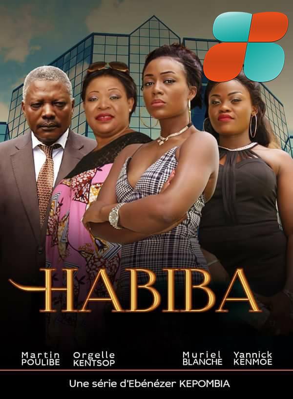 L’affiche de la série 