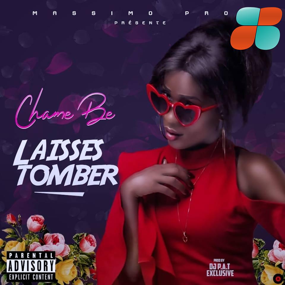 Affiche officielle de Chame BE - Laisses tomber